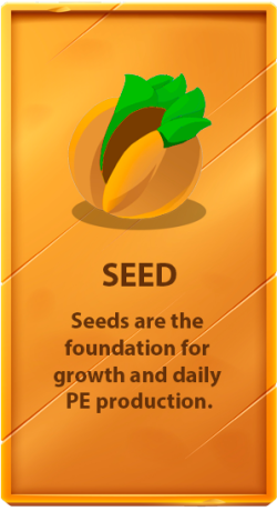 lienzo_seed